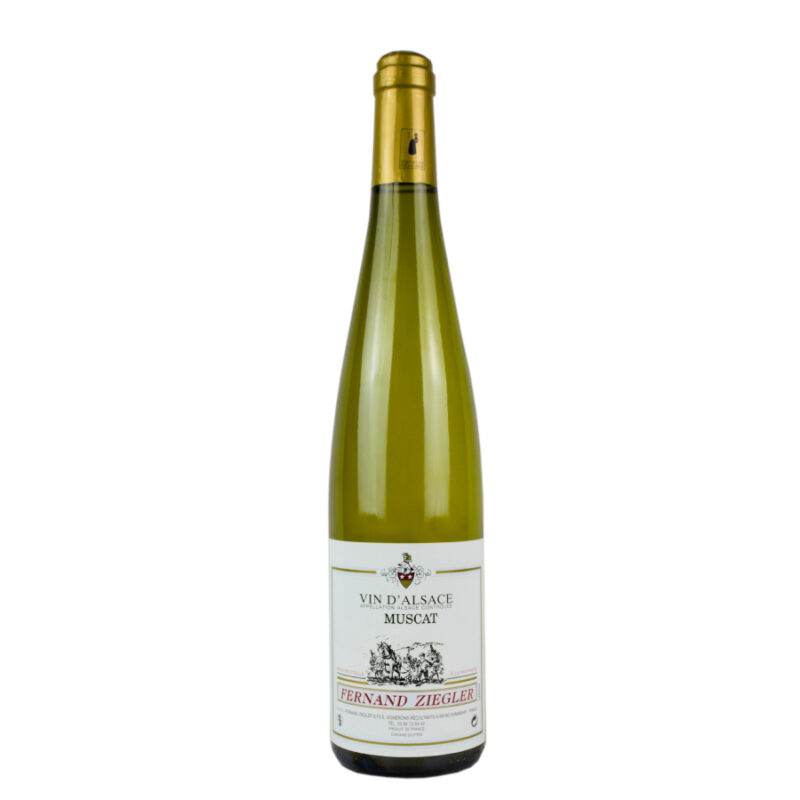 Découvrez lz Muscat d'Alsace du domaine Ziegler Fernand un vin idéal pour vous accompagner pendant l'été